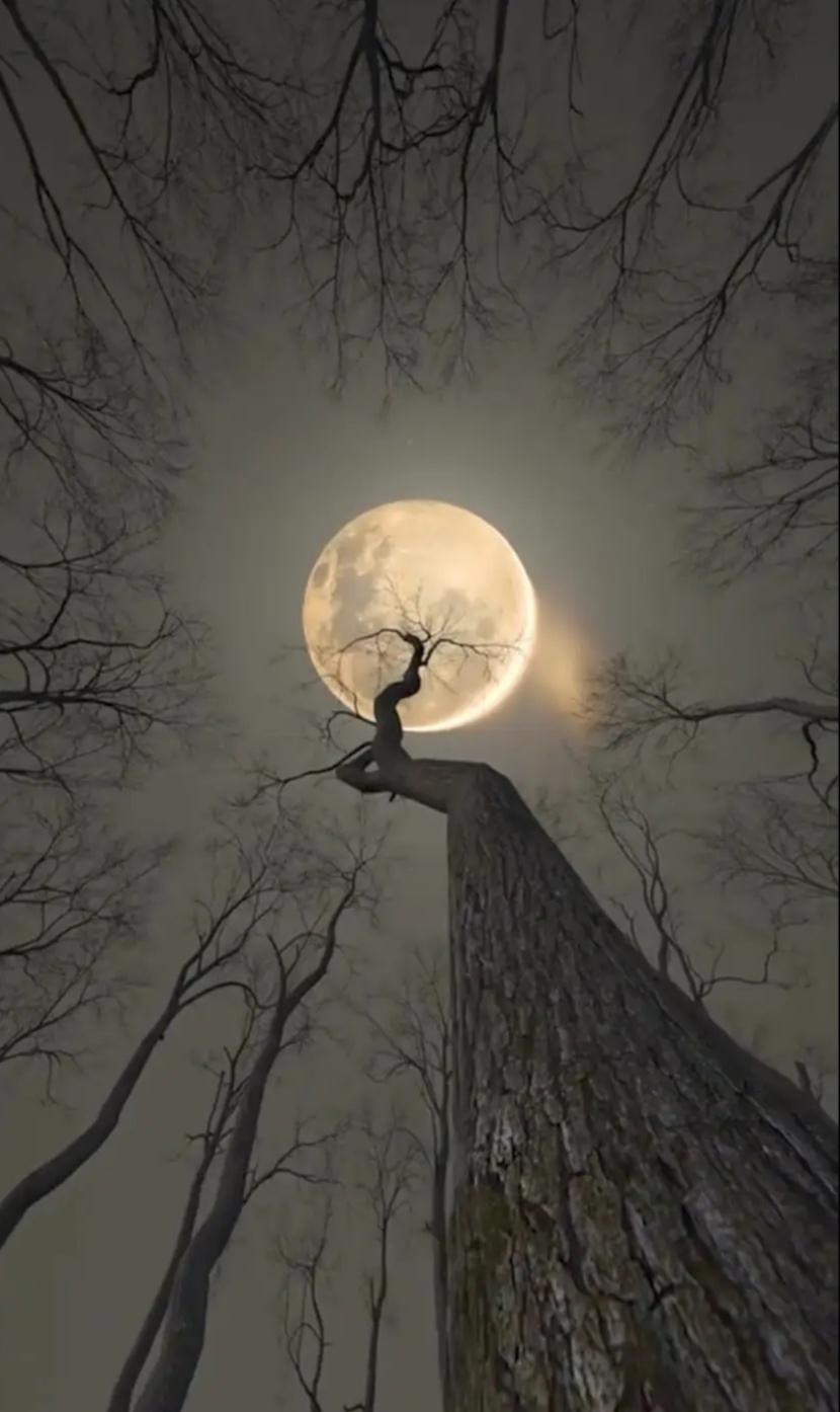 分享手机里随手拍的风景照片