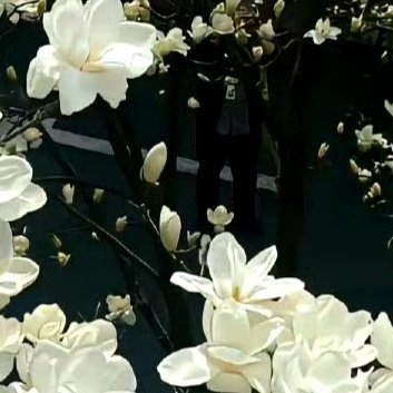 每日一善‎每日一善 ‎阳光‎信用 当你们遇到困难的时候就意味着你们要进步了，记住