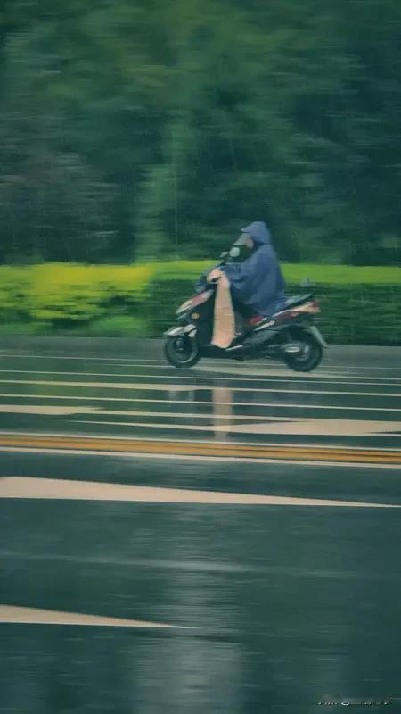 老天下了一阵急雨
又停了
天空照样灿烂
我刚把楼上楼下的窗户关好
雨停了
就当楼