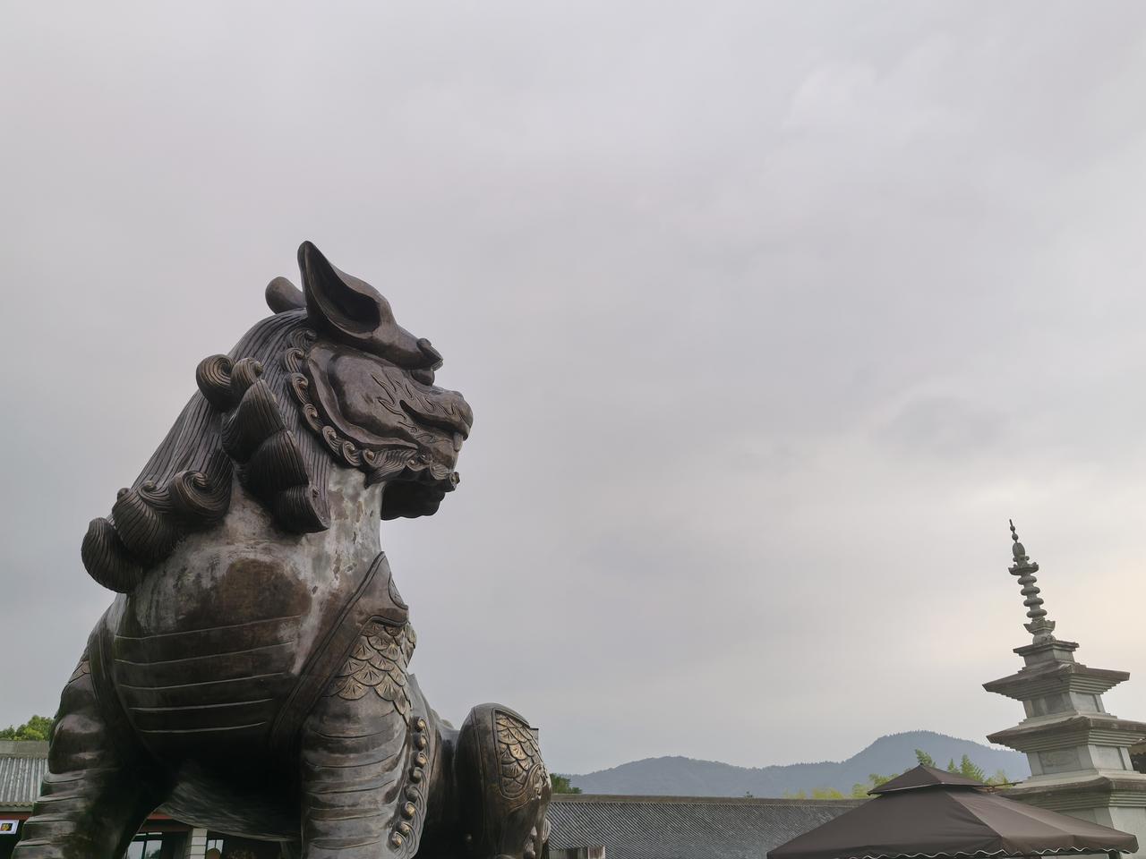 冬韵如诗

当冬风掠过枝头
枯黄的树叶用不同的舞姿
演绎着对生命的眷恋
此刻
冬