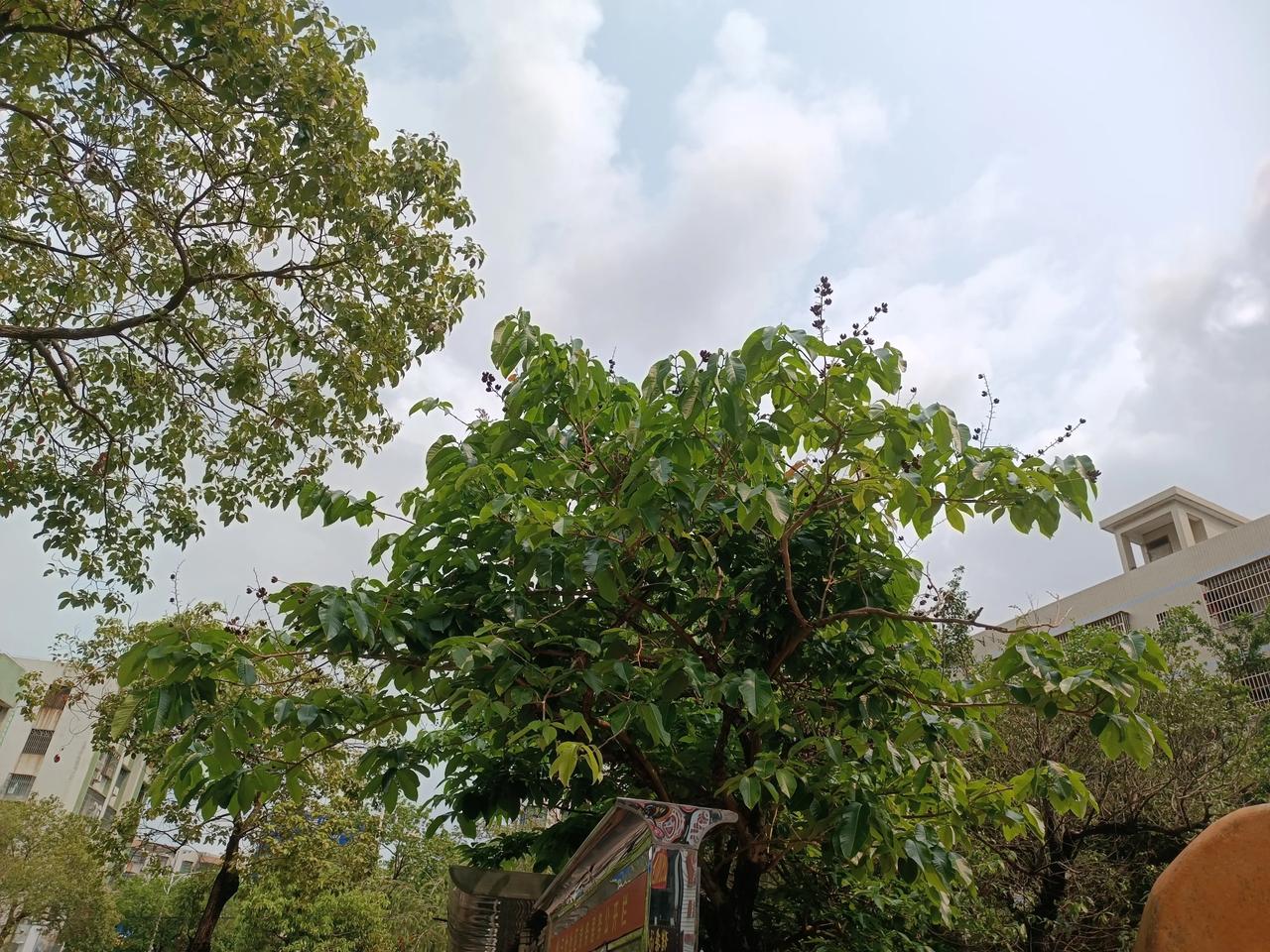 今天上午天气晴朗
微微的阳光
气温好舒适
不冷不太热
棒棒哒[点亮平安灯][点亮