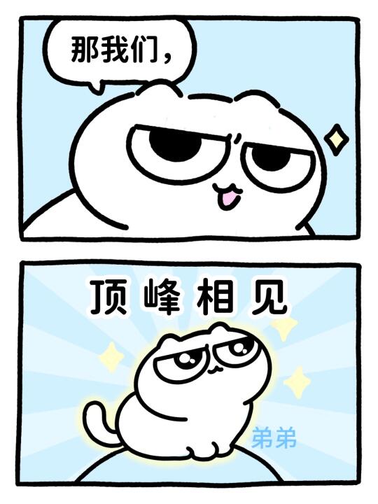 猫：顶⛰️相见
