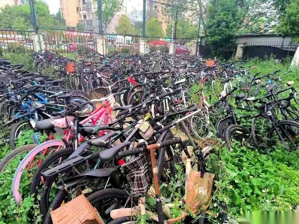 武汉轻工大学的校园角落里，上千辆自行车正密密麻麻地堆成一座“铁山”。
这是毕业季