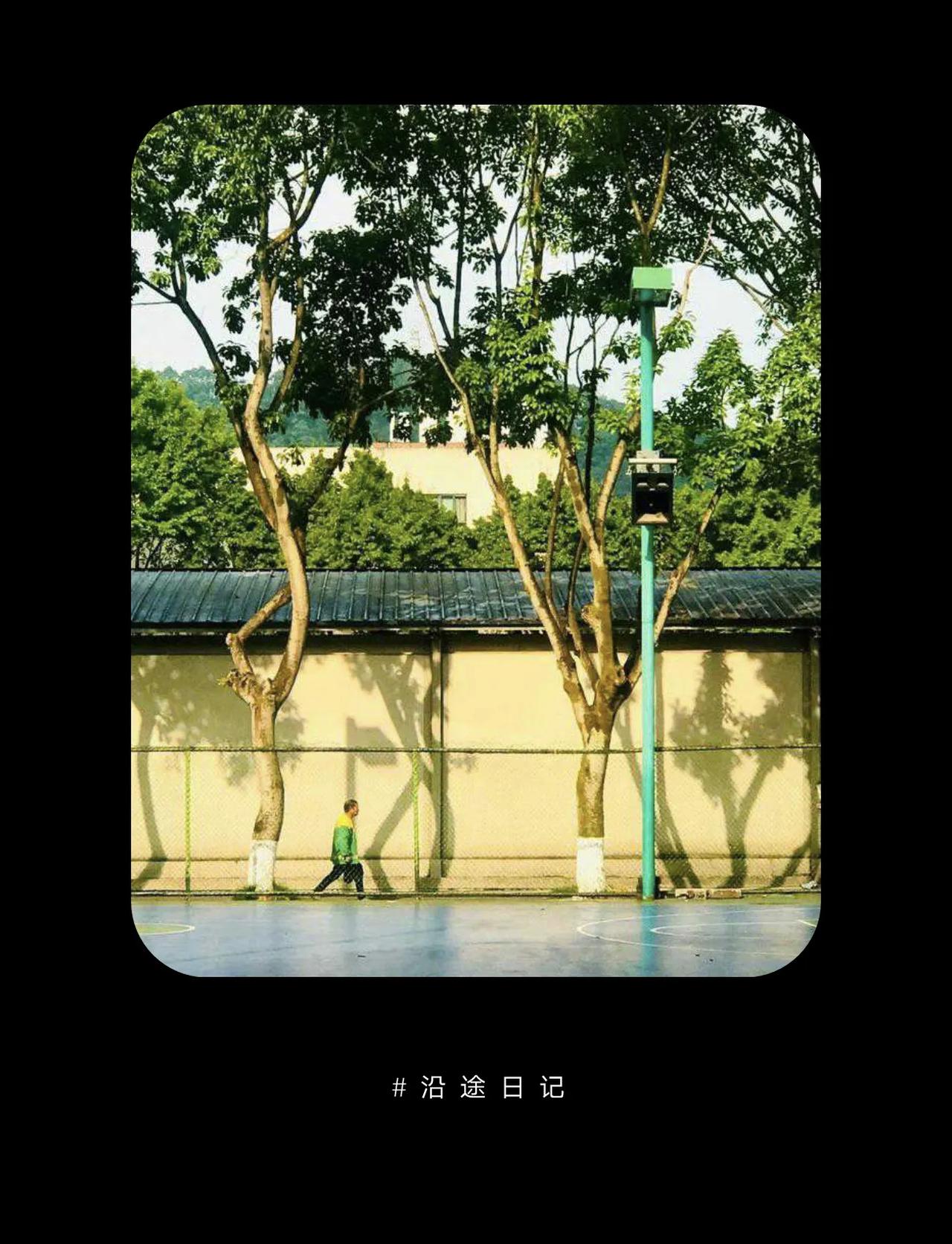 #秋日生活打卡季#【秋天阳光：围墙神神秘莫测】

笔者的话：司空见惯：不怪的是阳
