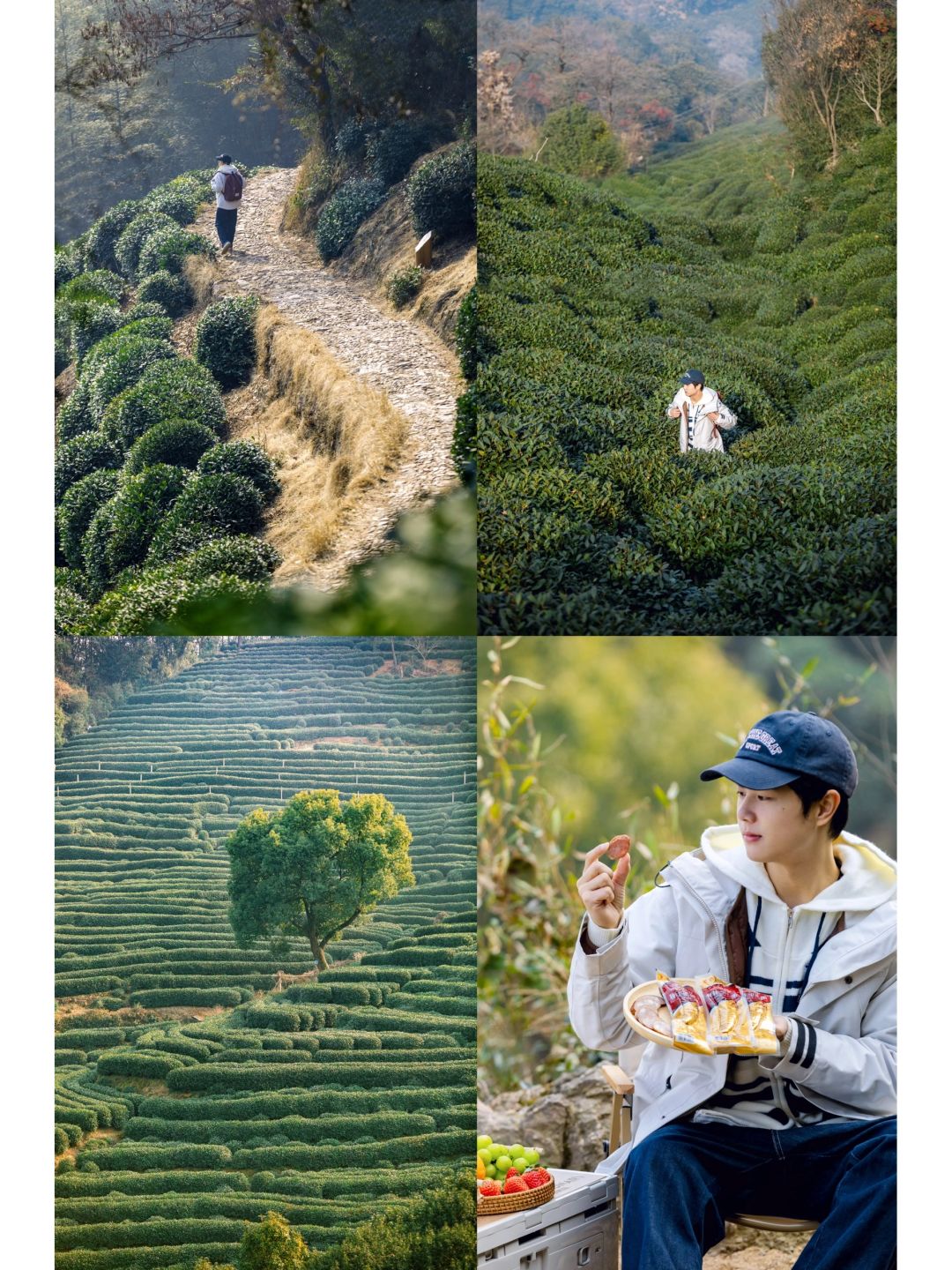 在杭州走过最治愈的徒步路线，满眼绿意🍃