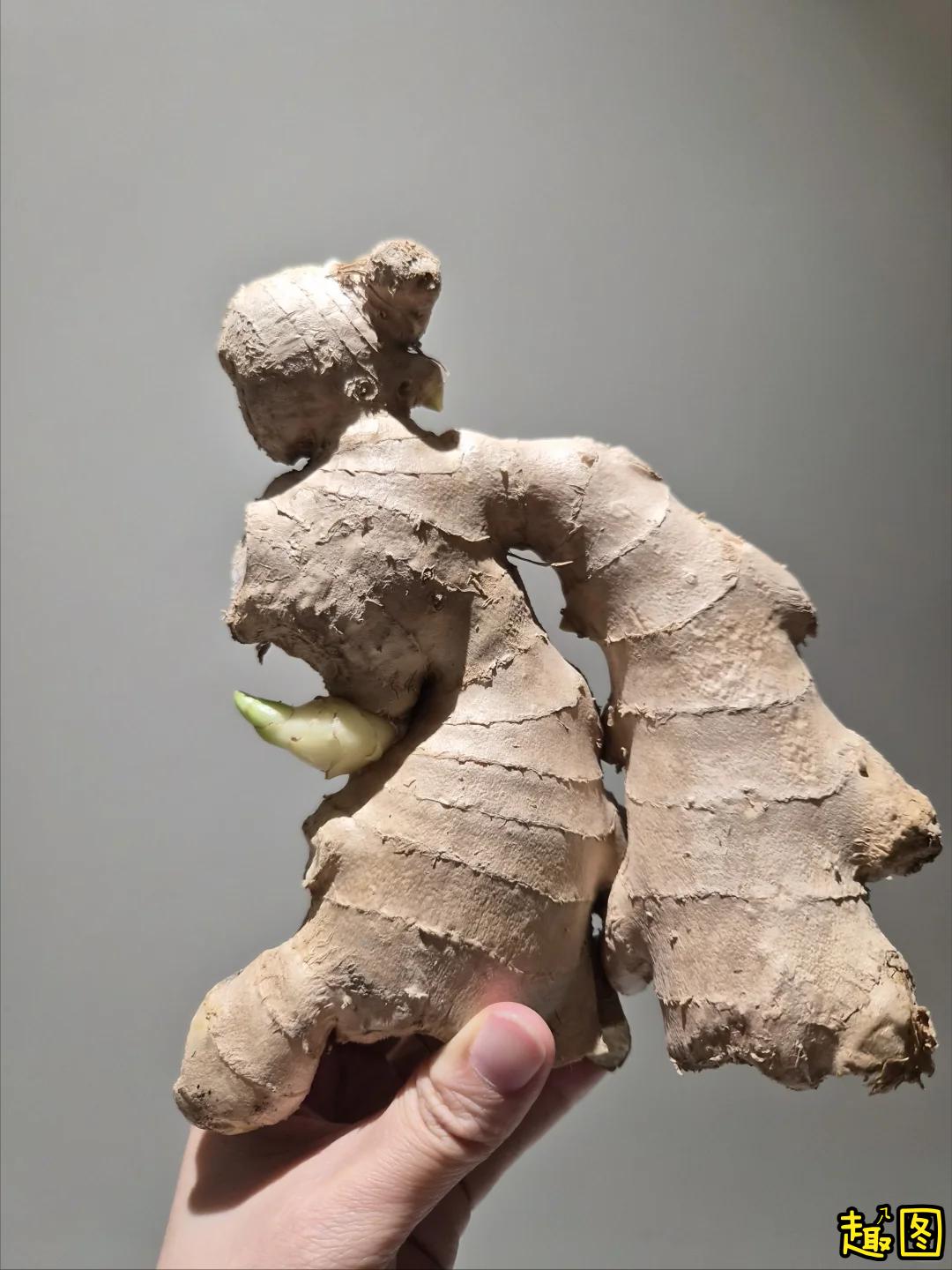太神奇了！
这块生姜是不是很像一个汉代长袖的舞俑？