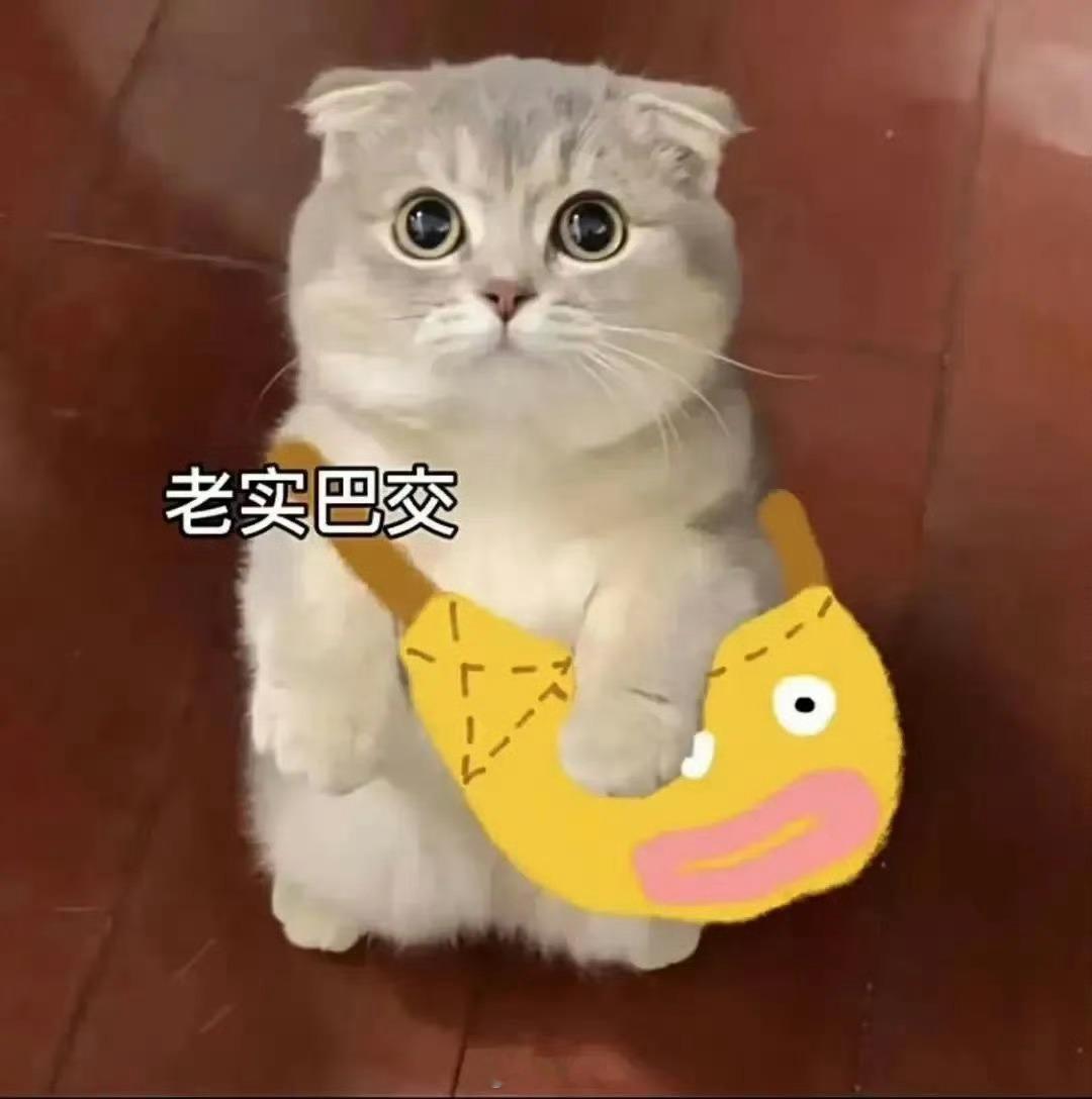 早上好呀宝子们，周末的时间总是过的那么快[泪][泪]打工人上线了[酷] ​​​