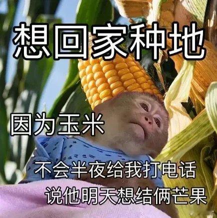 打工人： ​​​