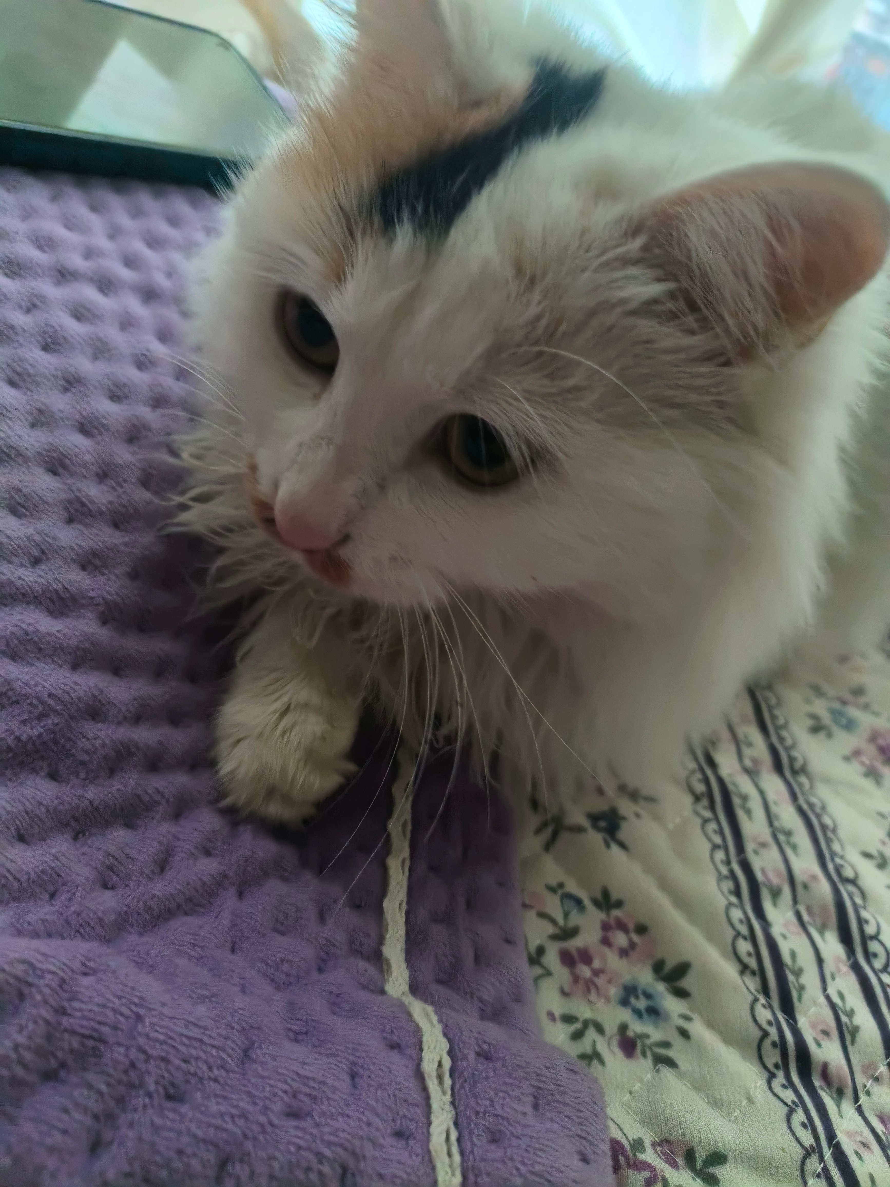 早上好啊！又是忙碌的一天开始了，加油吧！ 