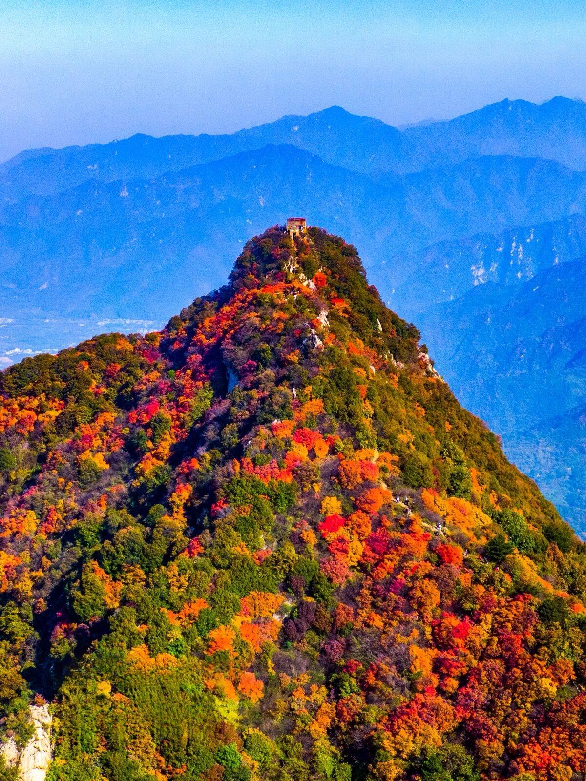 


降低“坏胆固醇”，最好的措施是什么？