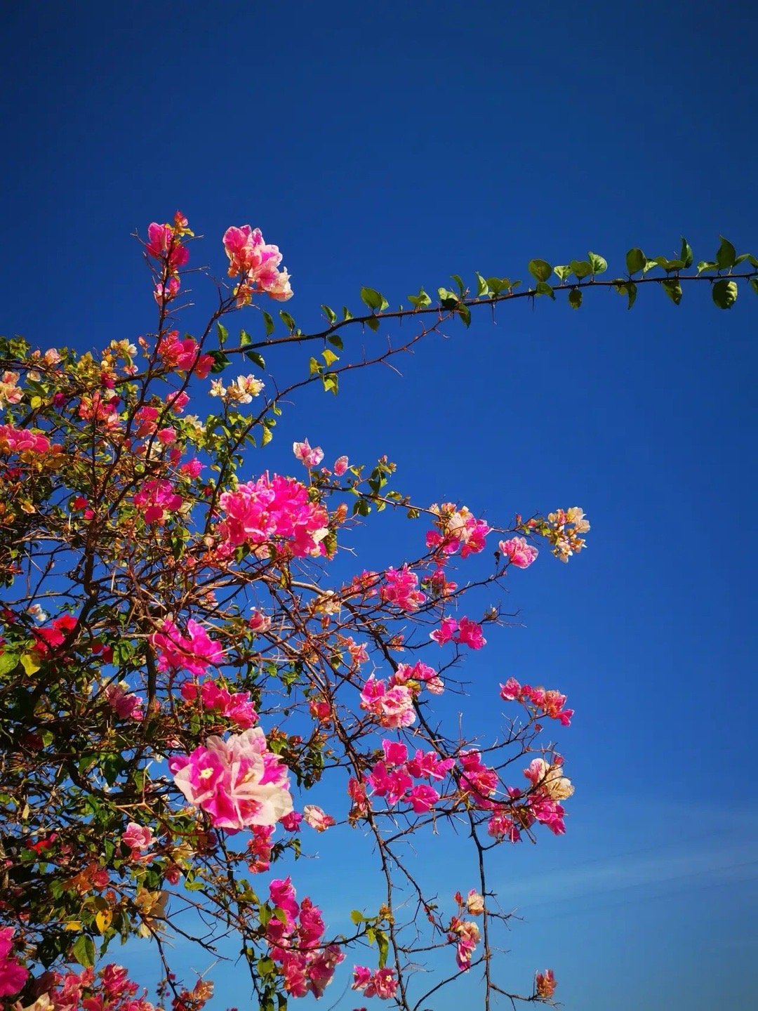 A股：不用等了！信号已亮，周一大概率要变天？​​4000点就像道“坎”，10月2