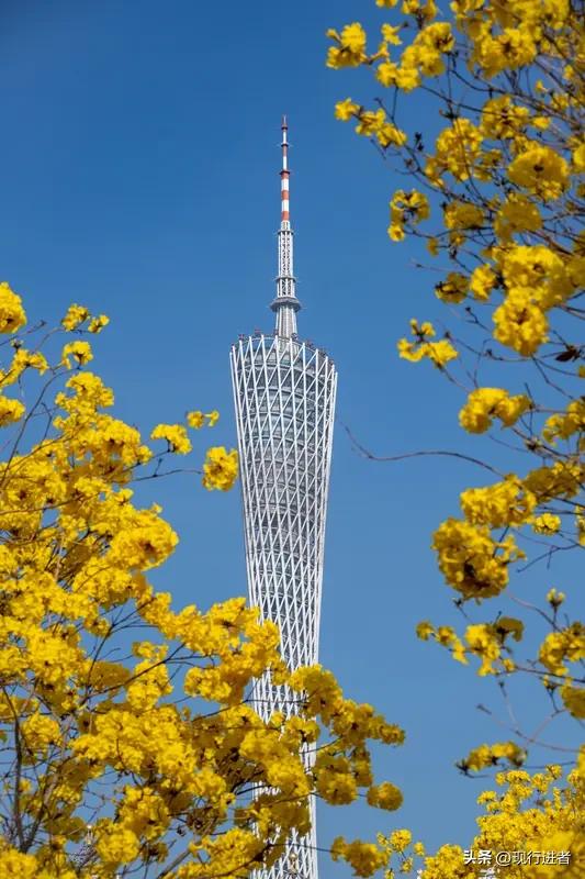 今年春天格外燥热，才三月天，广东比往年都热，雨水也少了，估计接下来的气候偏高温干