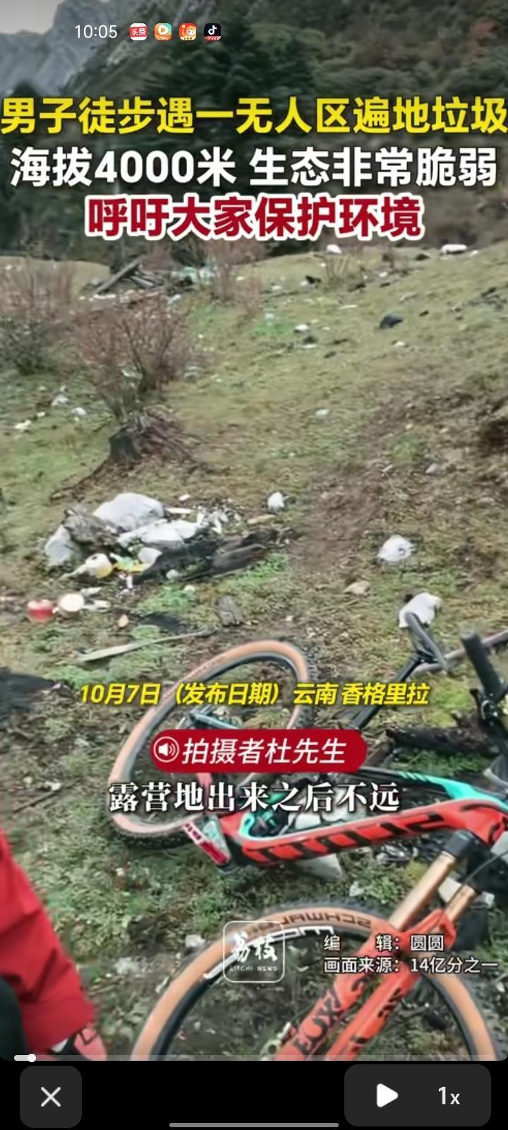 10月5日，迪庆州香格里拉市。网友晒出视频称，露营地出来后不远处，在灌木丛旁边看