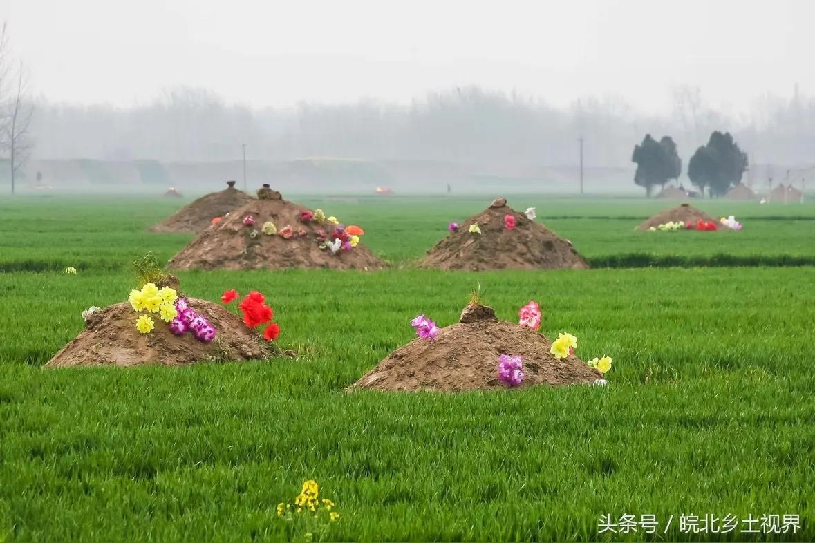 海南，男子清明扫墓发现祖坟周围被亲戚种满槟榔苗，两次沟通无果后自行拔除被判刑！法