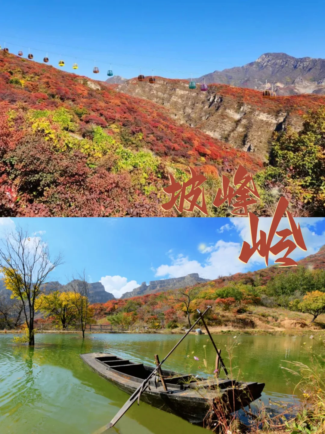 北京秋意浓｜房山坡峰岭赏红叶🍁拥抱大自然