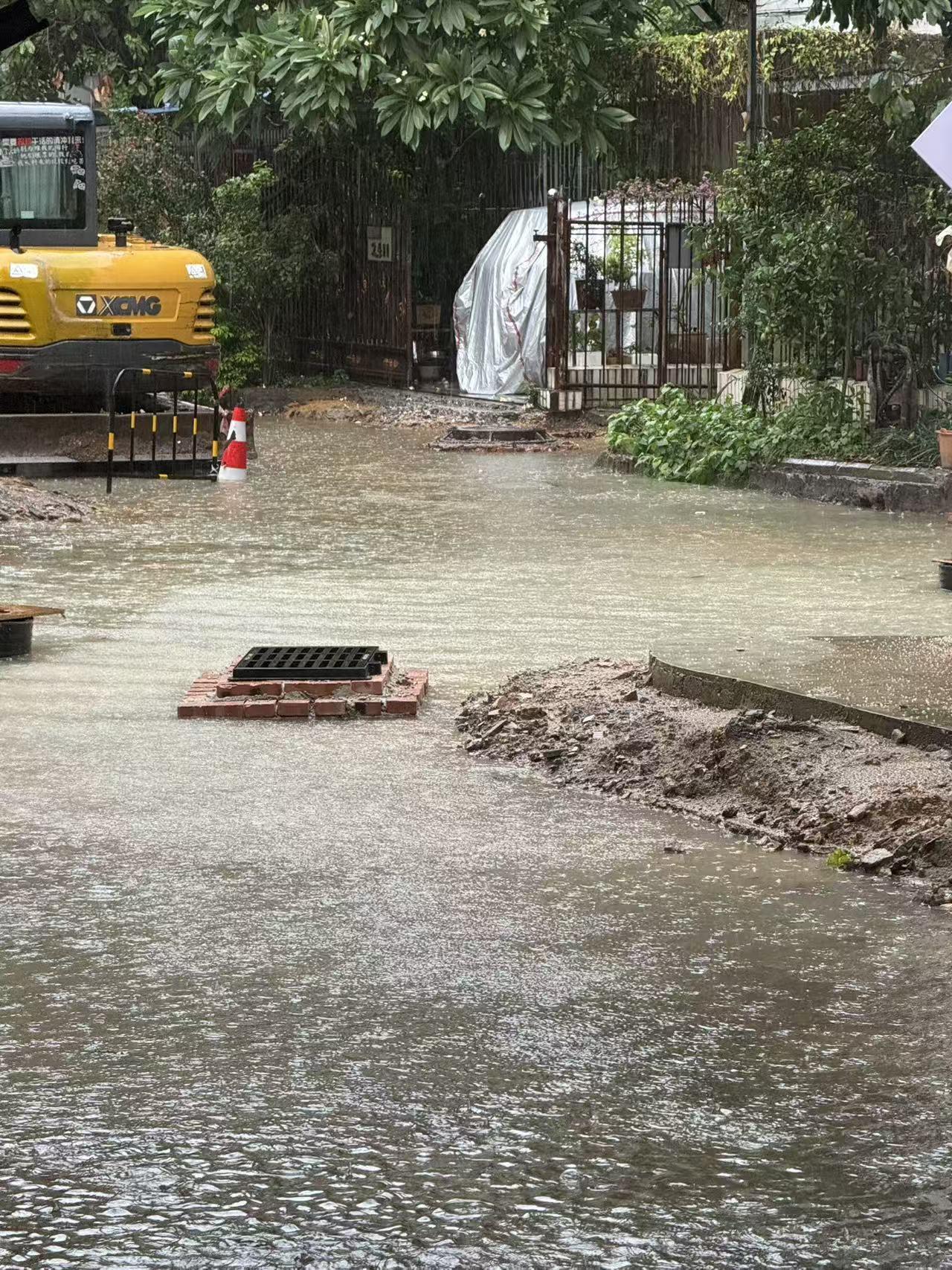 窗外落着一场微不足道的小雨，雨滴轻柔，算不上滂沱，却偏偏搅乱了心底所有情绪。
