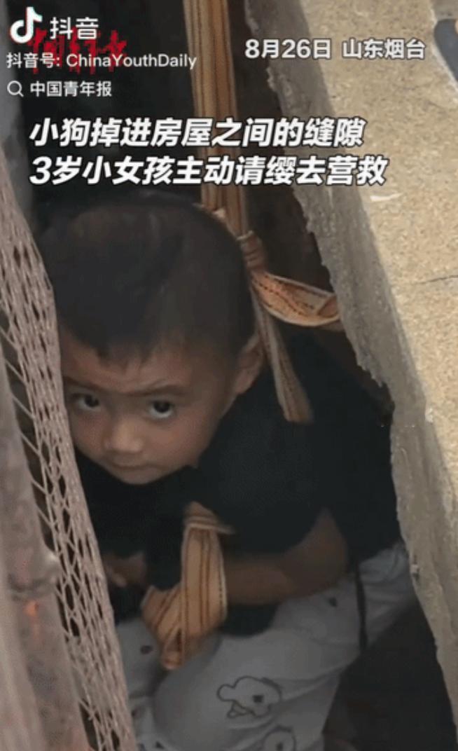 山东烟台，3岁女孩楠楠火了！小狗掉进3米深墙缝，大人下不去，她主动站了出来：“我