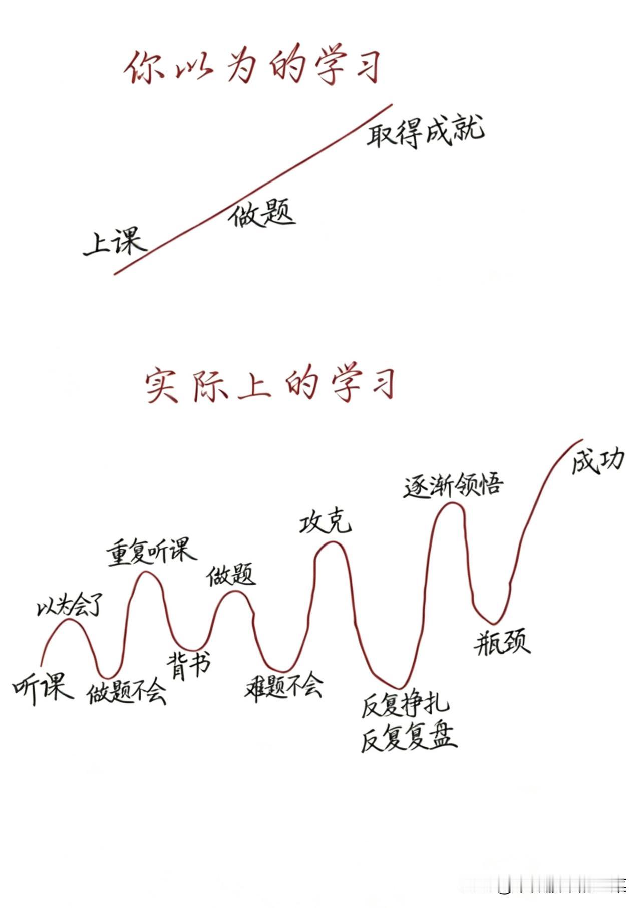 投资没有直线登顶，大部分人都要走过颠簸的曲线
 
刚踏入市场的时候，很多人都有过