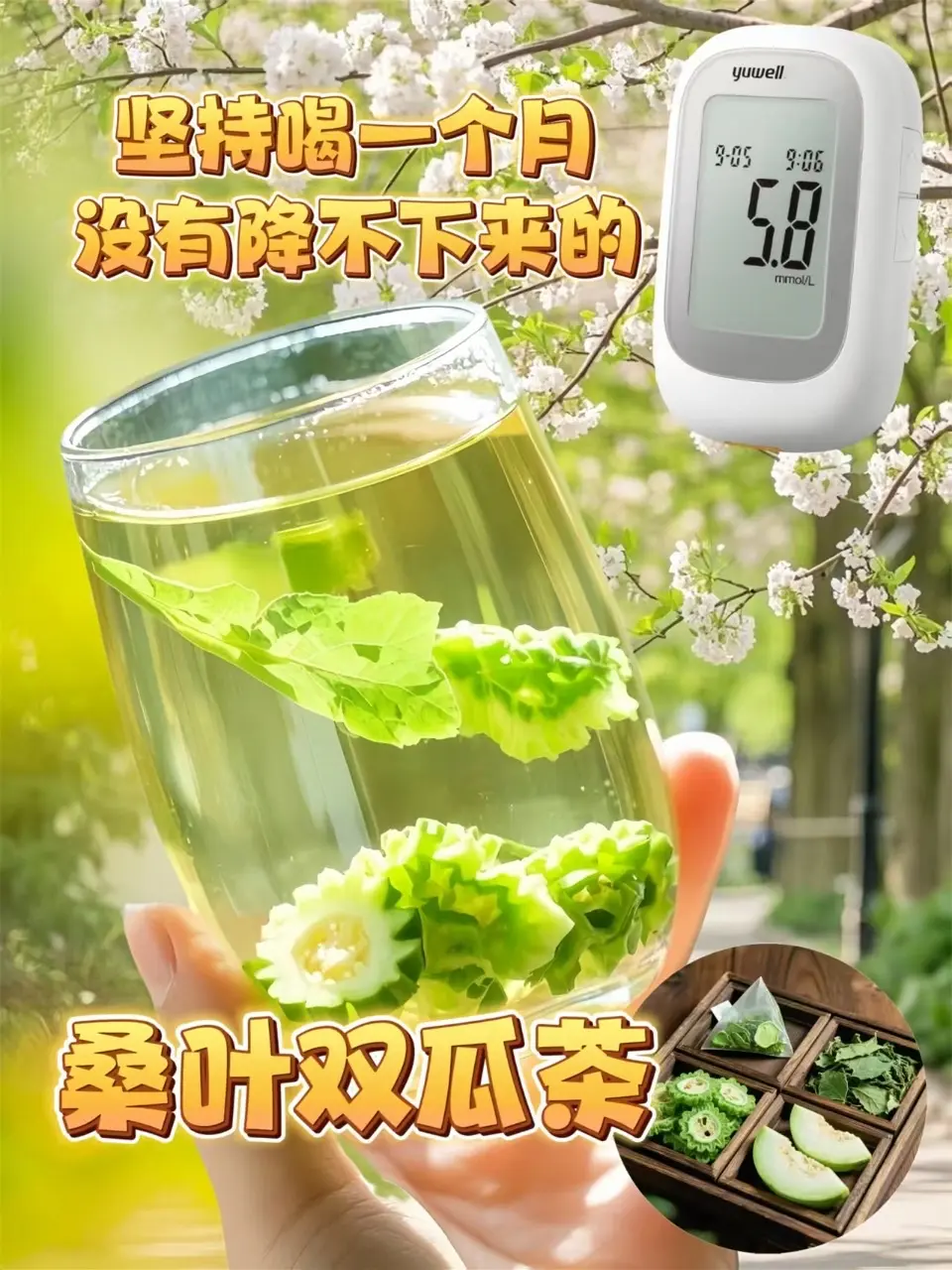 听劝，每天来一杯！《桑叶双瓜茶：自然的健康馈赠》喝过的都夸好！它乃大自...