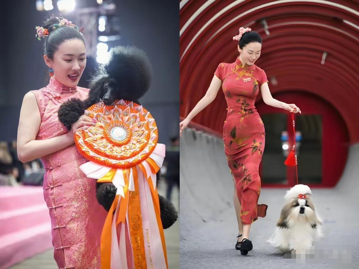 作为中国人时刻都要为宣传东方文化。
看到霍思燕每次带着狗狗都去参加国际比赛都会穿