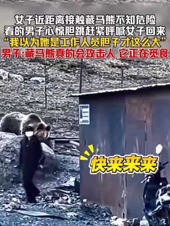 太吓人了！西藏一女子竟毫无防备近距离接触藏马熊，一旁男子看得心惊肉跳疯狂呼喊她回