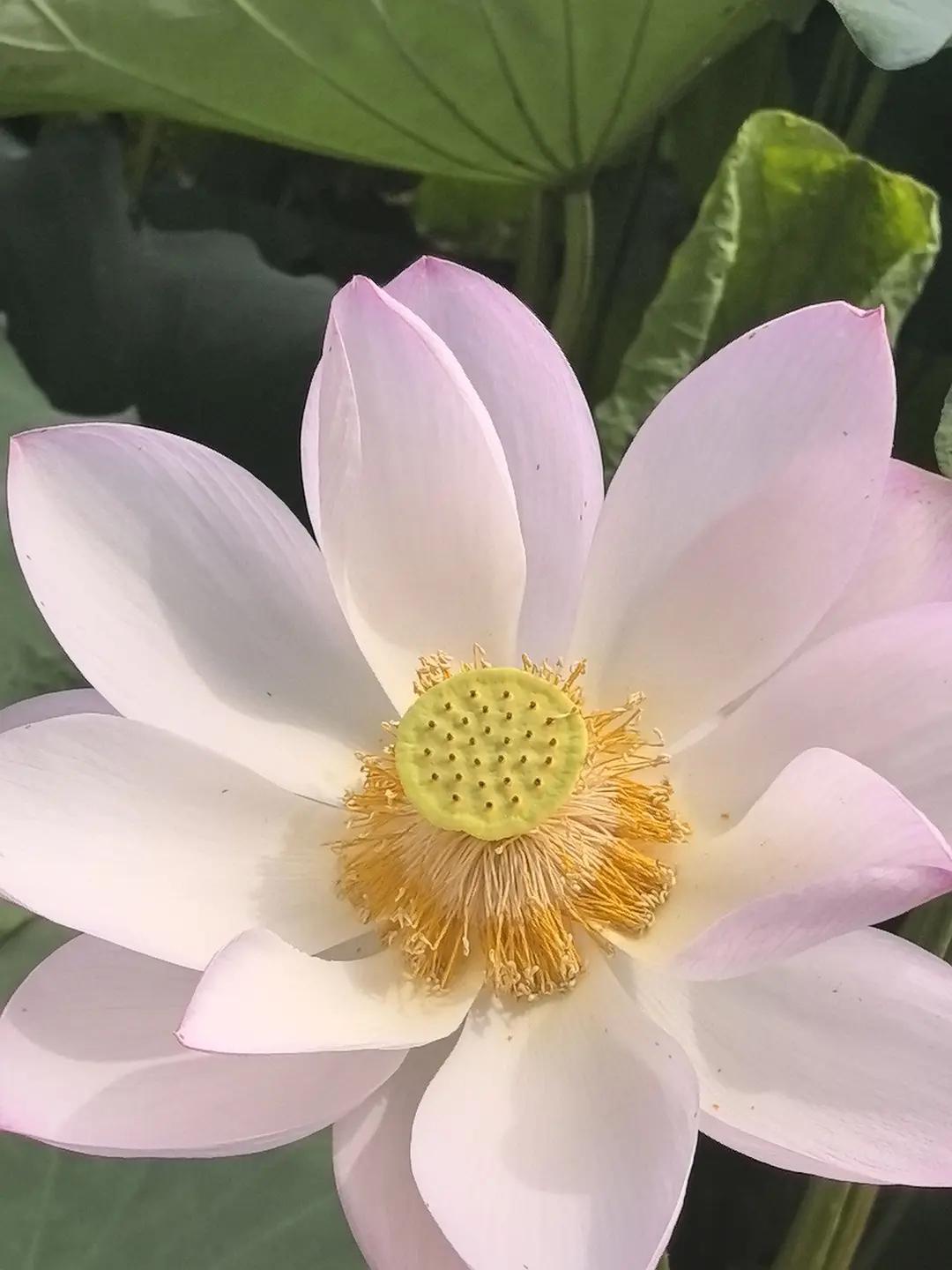 没啥感觉。因为每年考上的越来越多[我想静静]
祝今天的考试落笔生花！金榜题名！