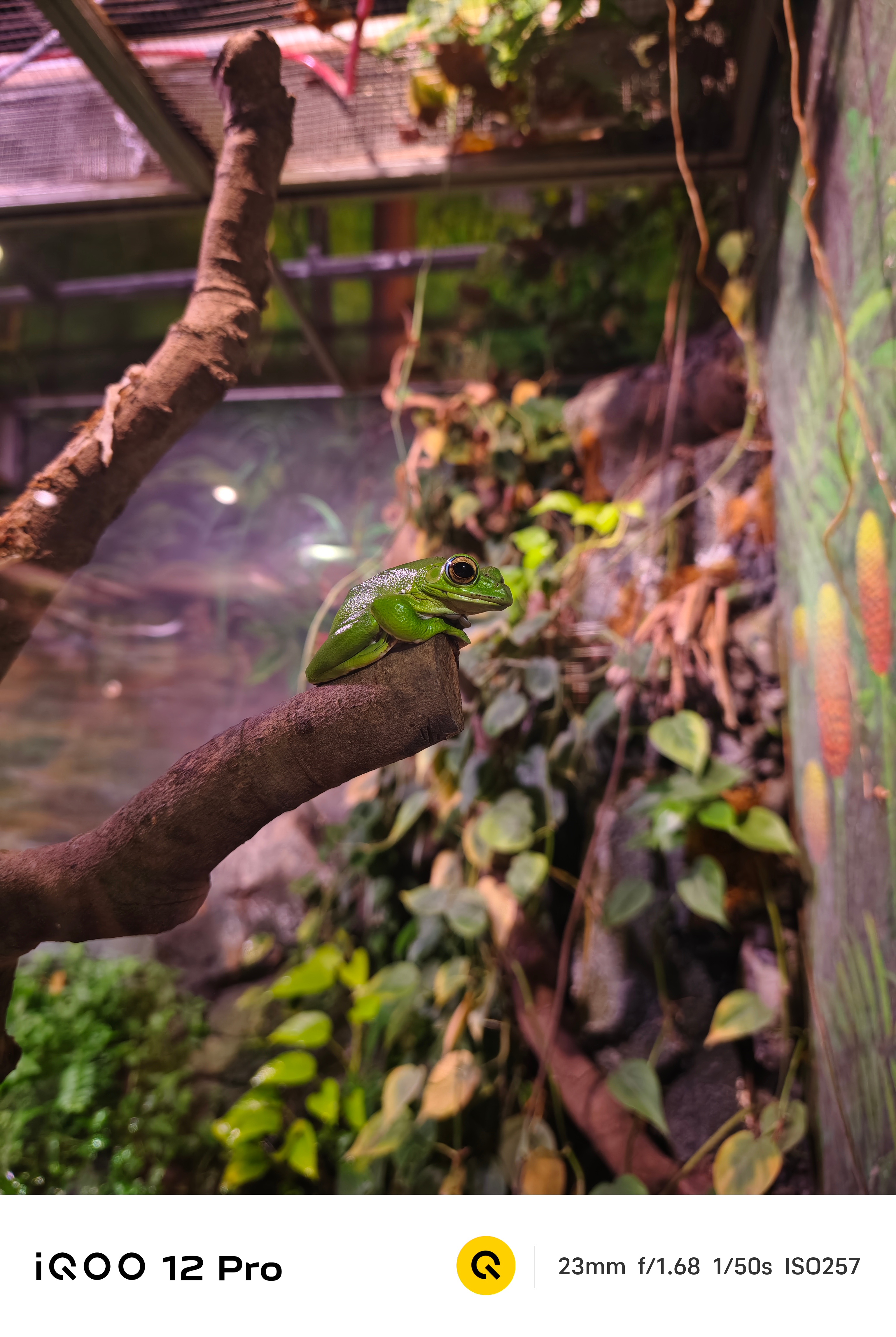 真我GT5 Pro总算要上潜望式长焦了，这为什么说是真我手机长焦影像的新拐点？​