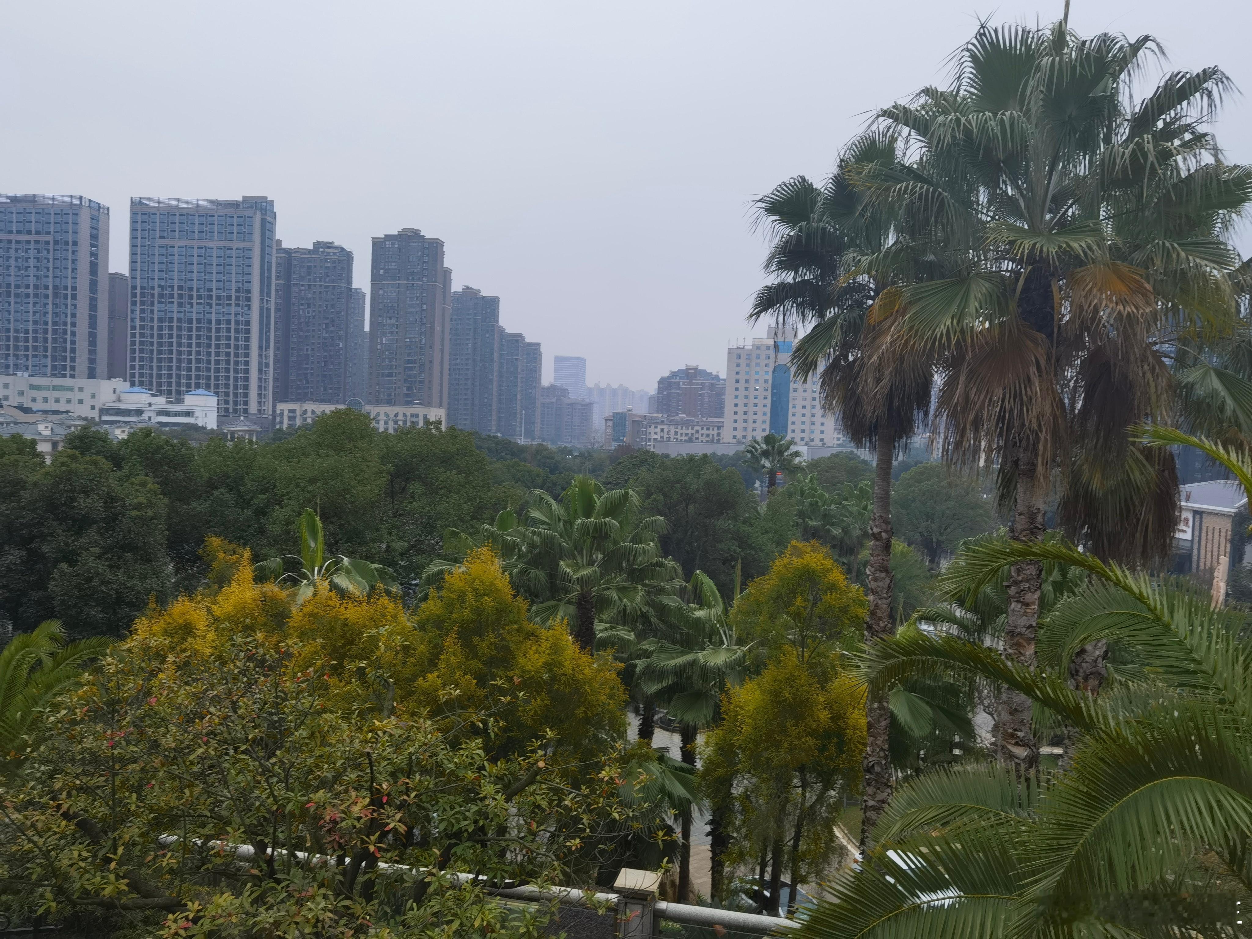 致谢辞承诸公清风两袖，星夜兼程，以明察秋毫之眼、烛幽探微之心，惠临吾侪。昔白乐天