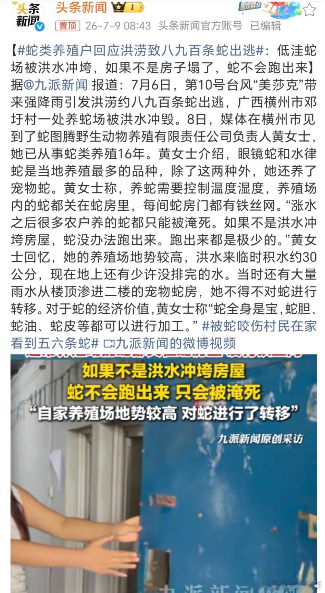 蛇类养殖户回应洪涝致八九百条蛇出逃养殖户亏大了，逃出来了又会吓人，真的是不知道该