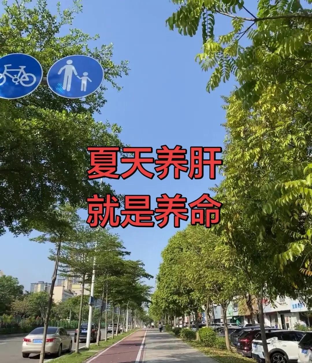 2026年7月27日，2026年国际蓝联“国际团结杯”篮球赛收官战在海口五源河体