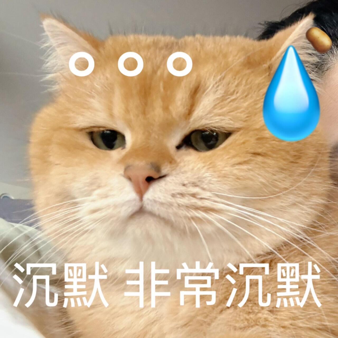 宁波天然舞台是真的很不错，不仅首演给九斤送了花，工作人员还特意换了定制的蓝色新工