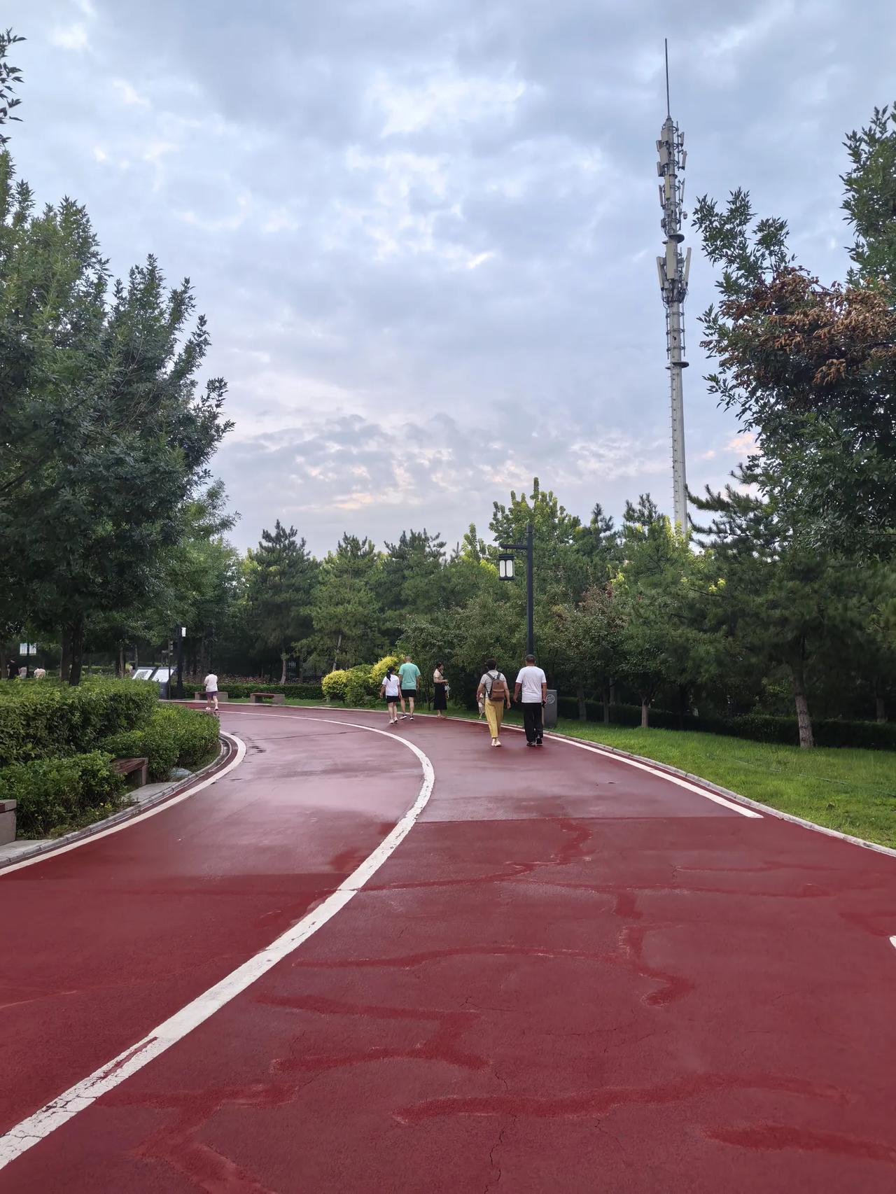 2026年6月11日傍晚，雨后的太原双塔公园空气格外的清新。