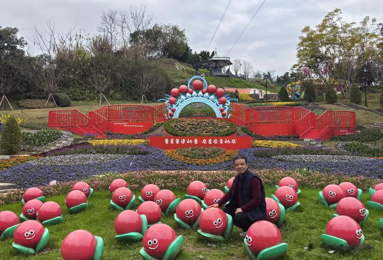 重庆巴滨花艺园（下）花园城市的风景 雲海公园看美景 公园花草摄影 公园摆花 海岸