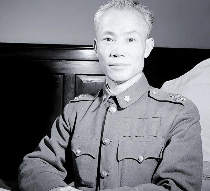 陈诚当着戴笠的面，扇了军统特工巴掌，戴笠就站在一旁，为什么连屁都不敢放？这一记闷