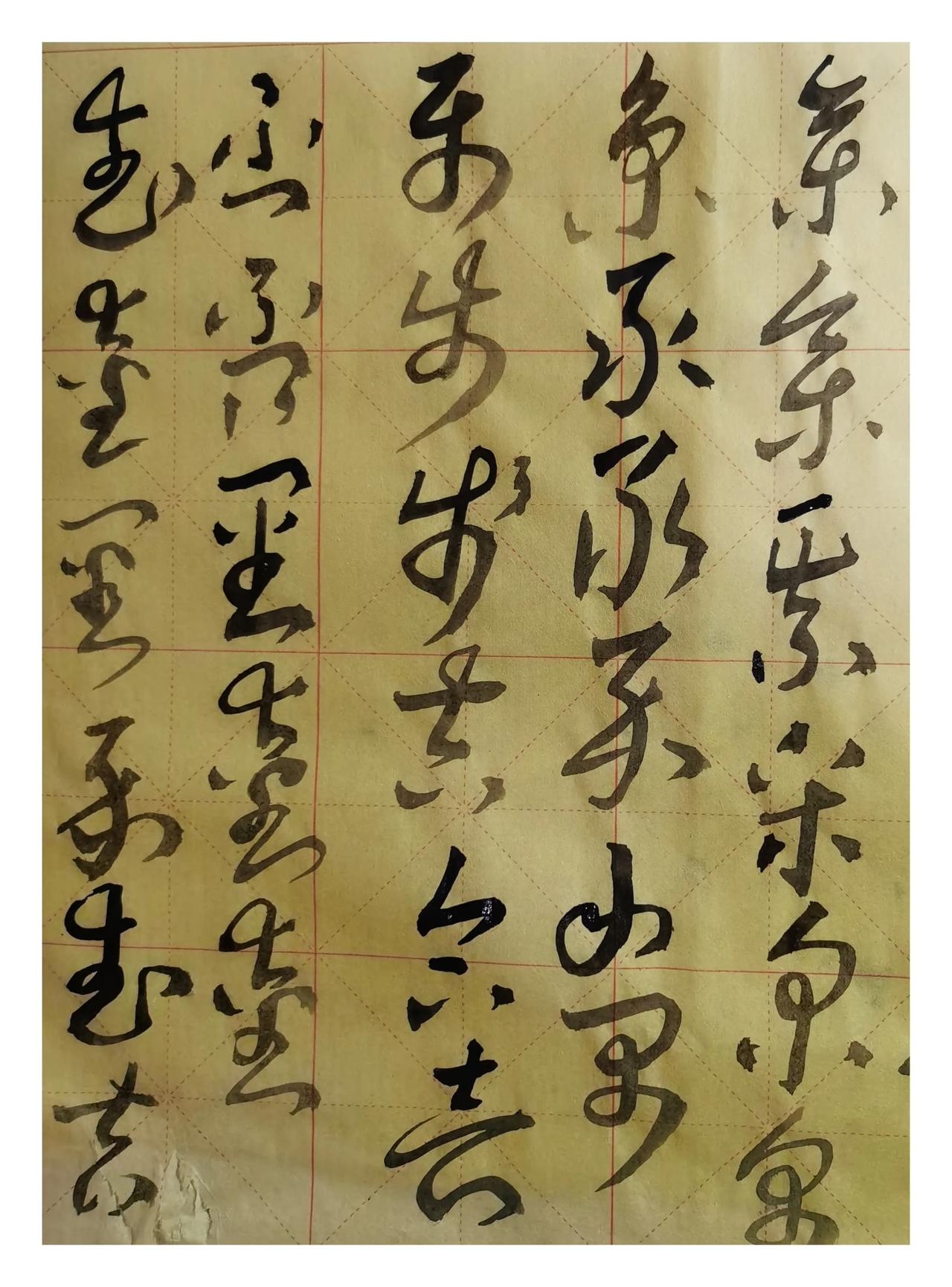 日月循环
变换窗前树的颜色
如果把过去忘掉
每一天都是新的
忧伤就无从染着
岁月