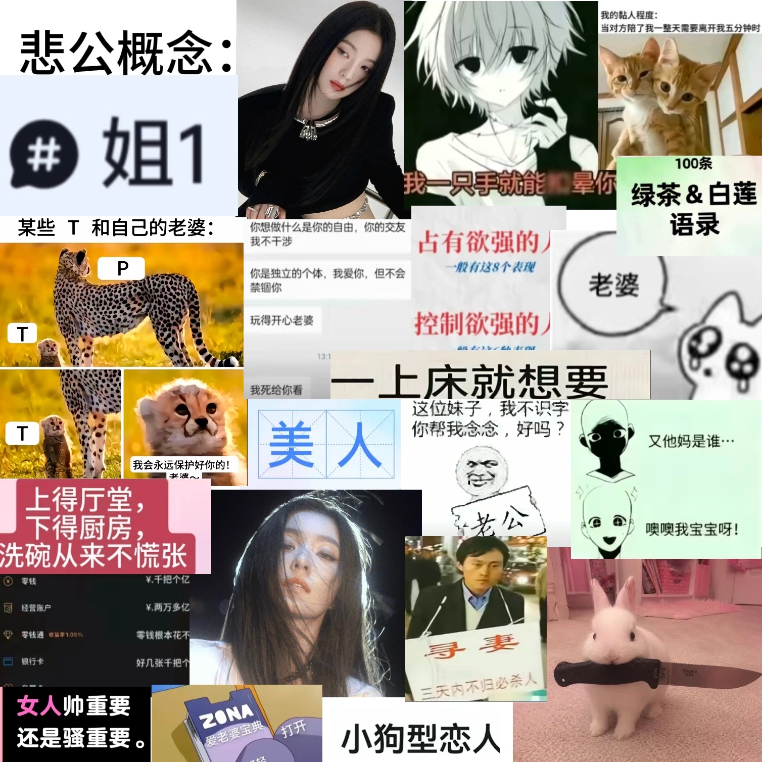 Irene 决战公嬷之巅（概念篇） 