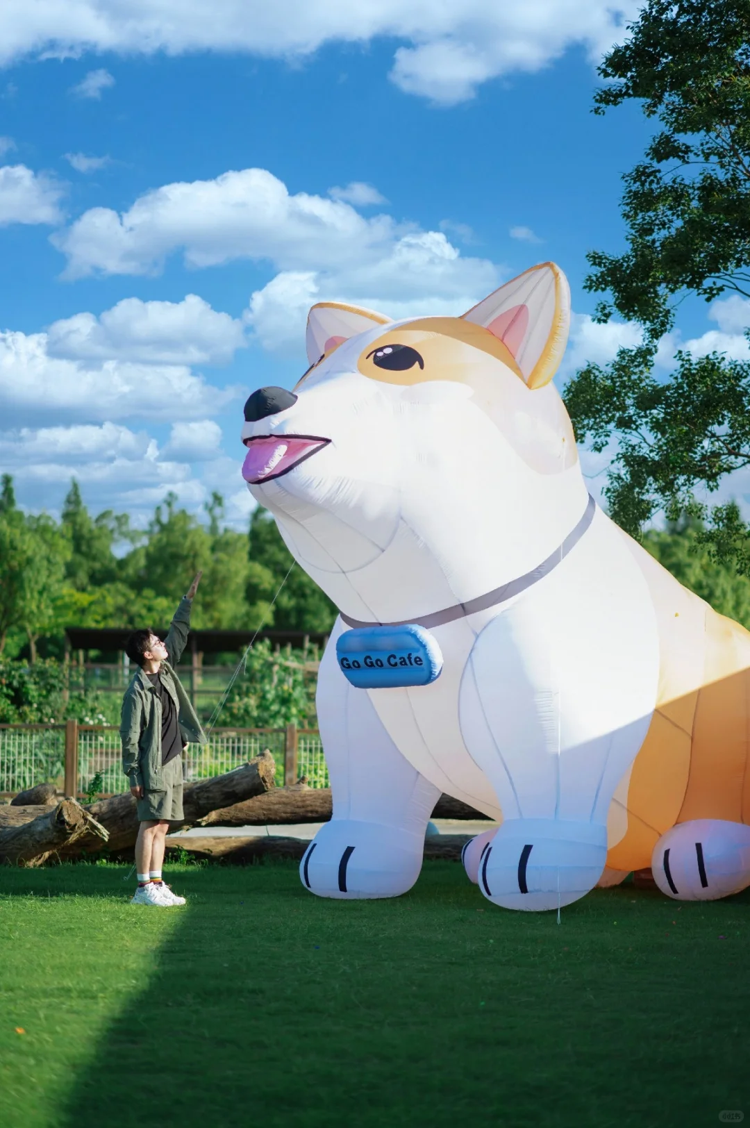 亲子宠物友好🐶👧江浙沪宝藏农场房车乐