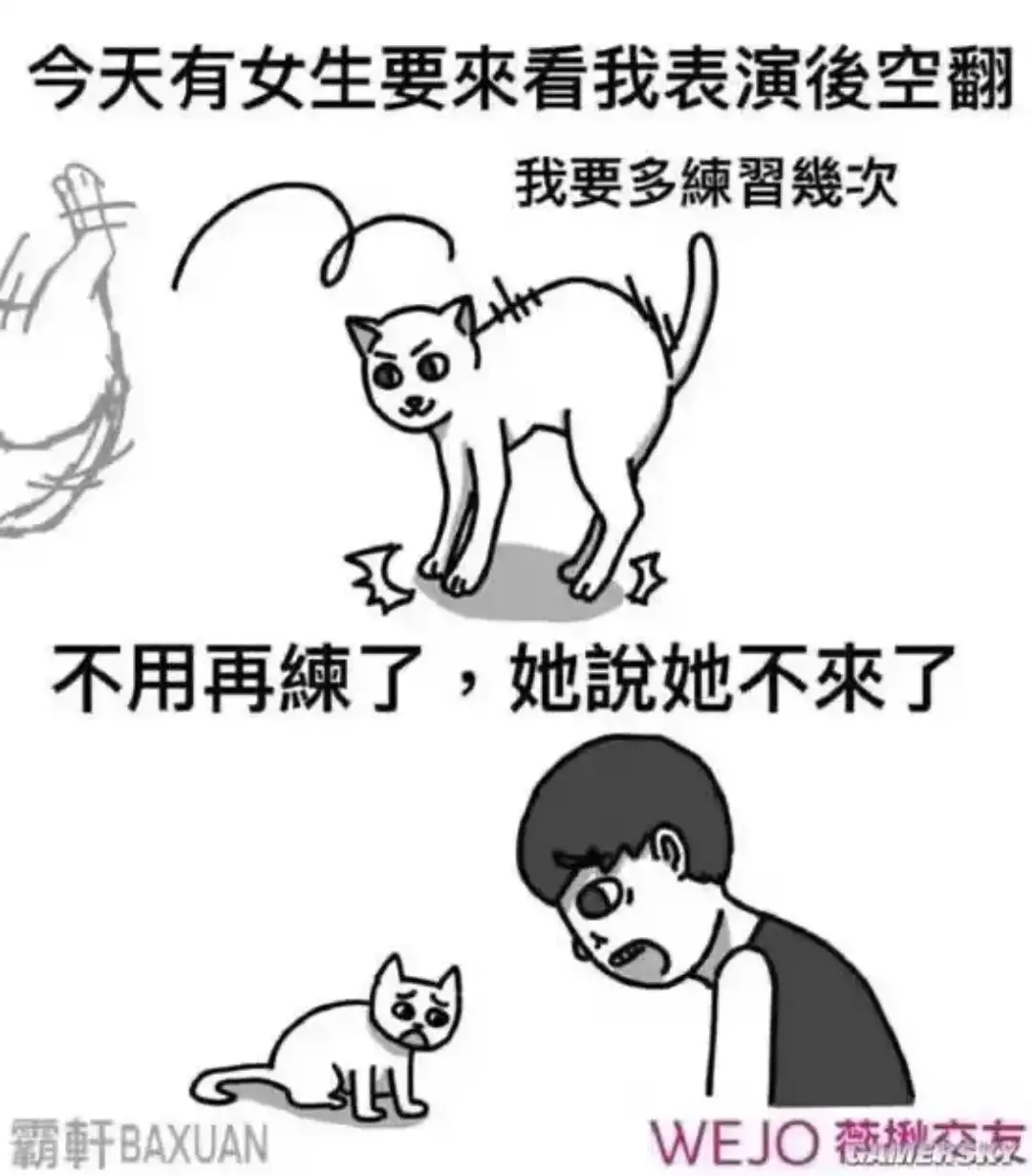 <img src=