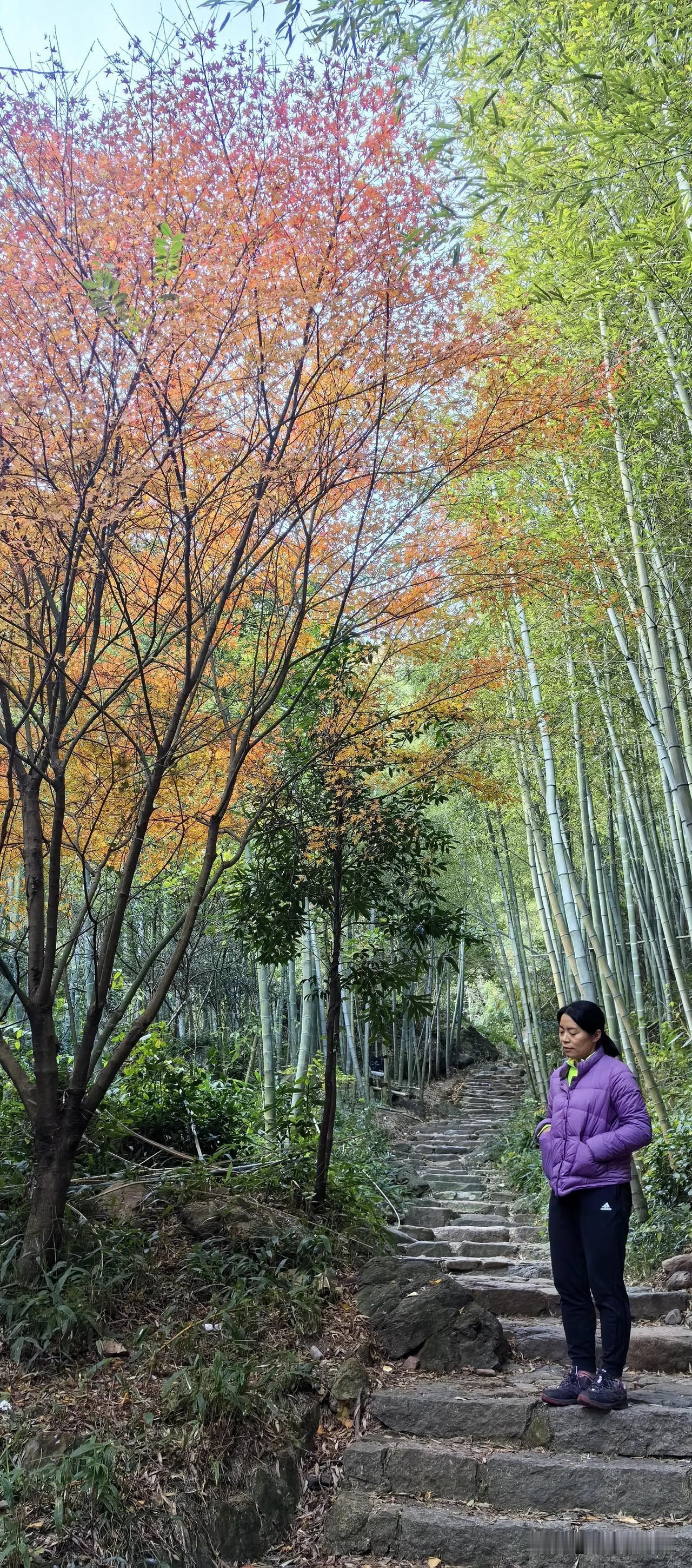 和儿子一起徒步浙江鸬鸟山。这也是我第1次和孩子自驾，一起户外爬山。全程我都空着手