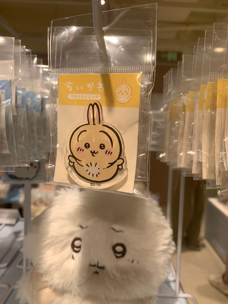 展示蒲公英！ 