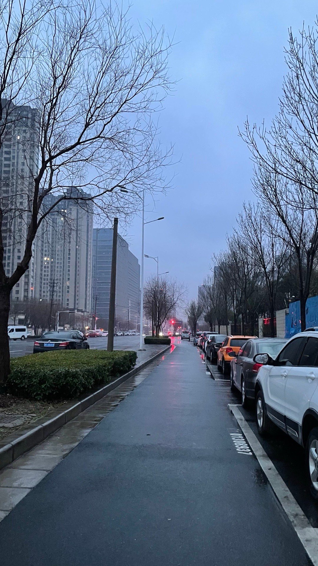 走着走着天就亮了 