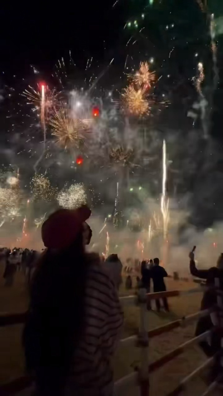 不点进抖主页都看不到幂更新快来给在看烟花的小幂点赞加热