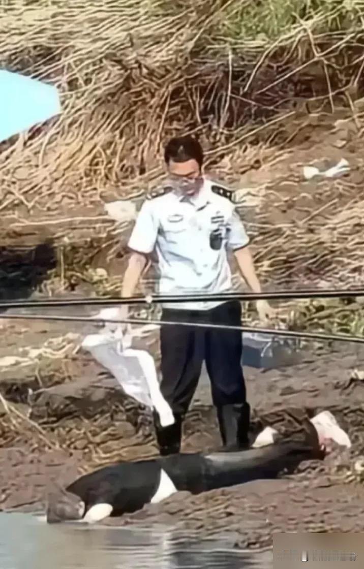 真佩服他还能淡定钓鱼