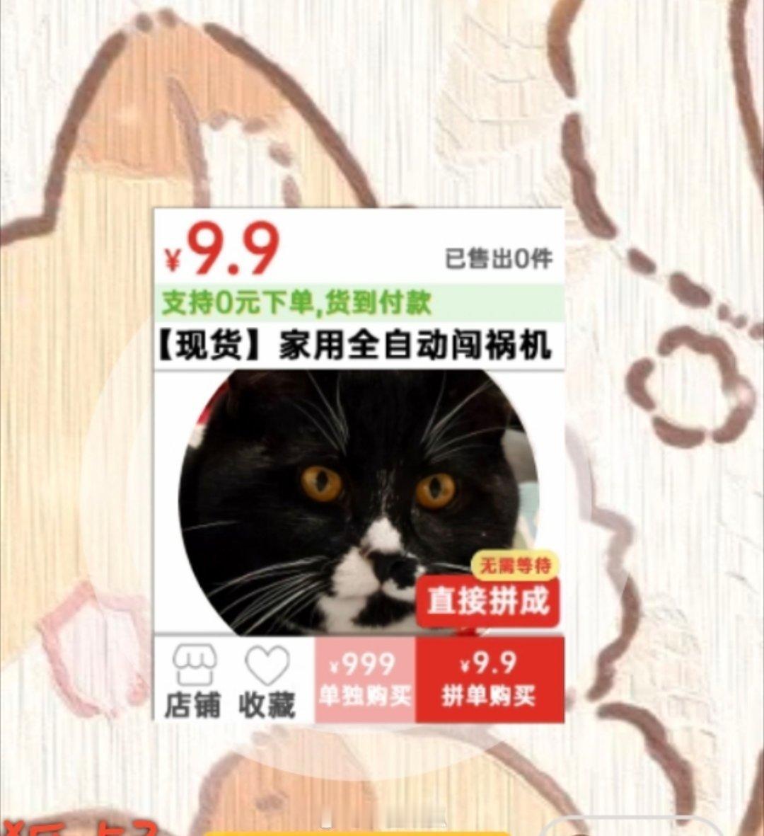 这个头像框就很合适 ​​​