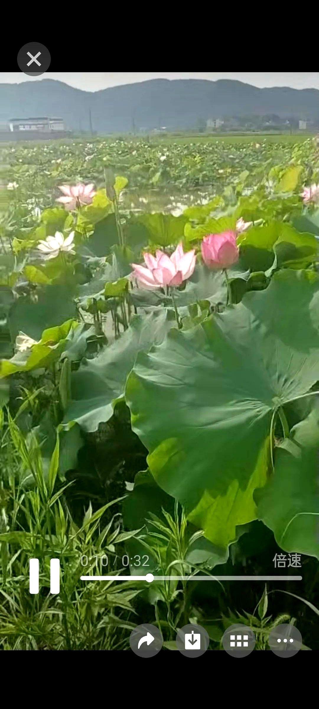 能安放肉身的地方，安放不了灵魂。
能安放灵魂的地方，偏偏养不起肉身。
这就是咱们