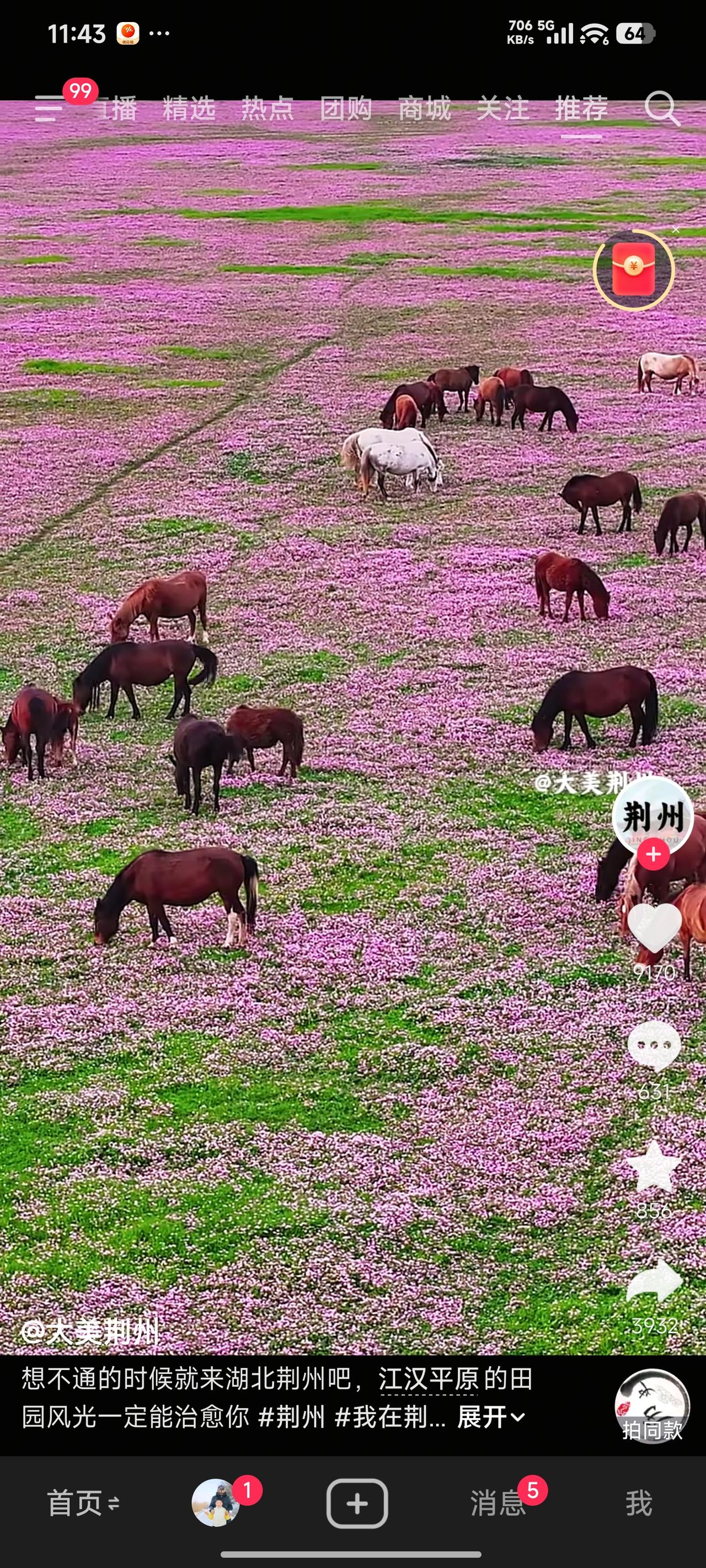 拍得真棒！湖北东荆河畔，长江江陵两岸的这般景致，即便置于全球，也是独一无二的。两