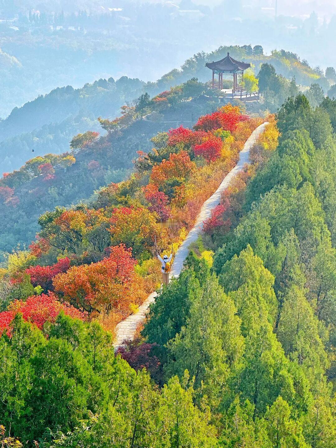 北京1h赏秋，半红半绿免费登山徒步天花板🍁