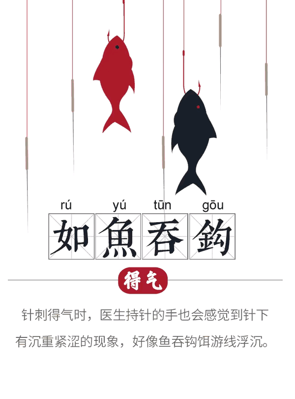 中医号脉神秘莫测？今天我将用高清动态图为你揭开它的神秘面纱，让你轻松掌握中医号脉