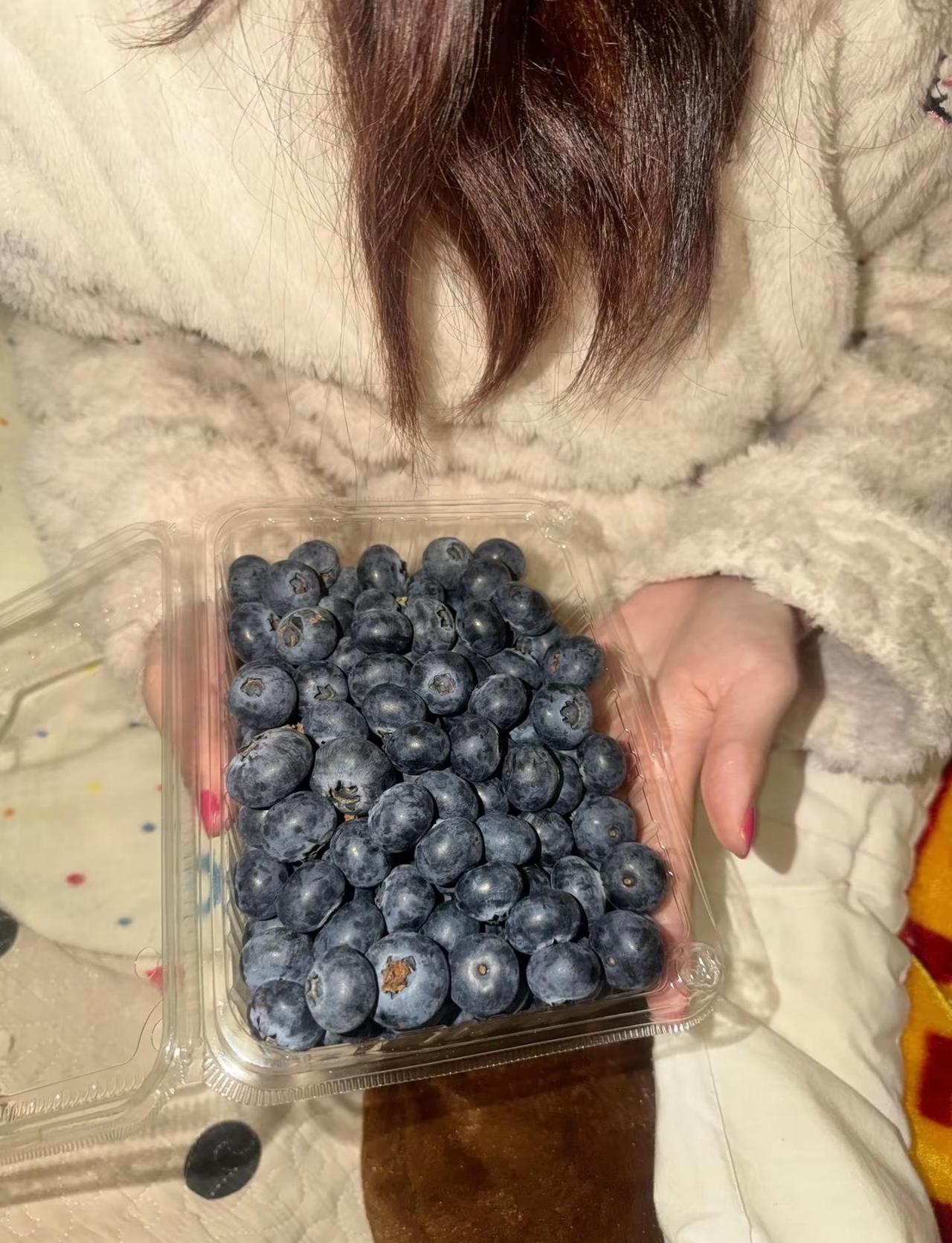 如果蓝莓🫐跟猪🐷一样大就好了