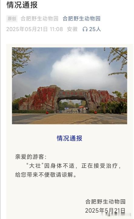 合肥动物园的大明星，合肥的流量担当，生病了。
这不得动用全省最好的医疗资源。